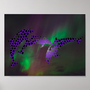 Northern Lights Dolphin Dolphins Landscapes Skies Poster