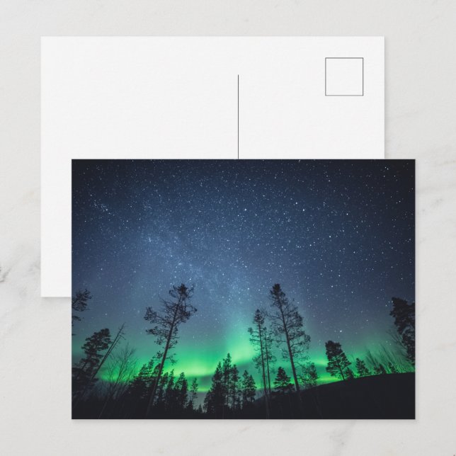 Northern Lights Forest Postcard (Front/Back)