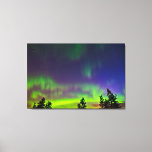 Northern Lights Manitoba Canada Canvas Print