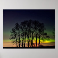 Northern Lights | Manitoba Canada Grande Pointe