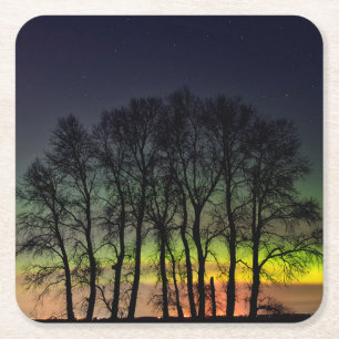 Northern Lights Manitoba Canada Grande Pointe Square Paper Coaster