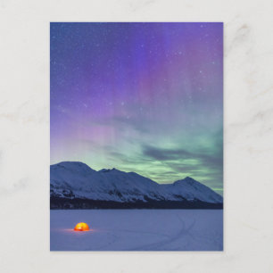 Northern Lights Moose Pass Kenai Peninsula Postcard