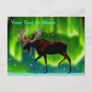 Northern Lights Moose Postcard