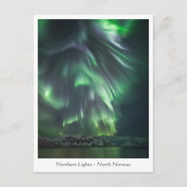 Northern Lights Night Sky Postcard (Front)