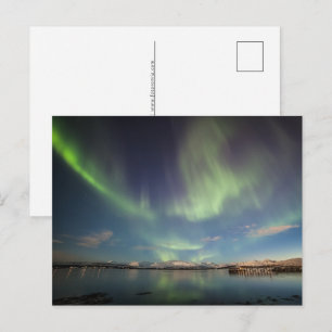 Northern Lights Norway Holiday Postcard