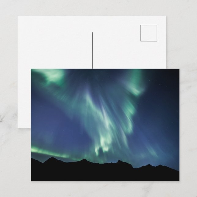 Northern Lights Norway Postcard (Front/Back)