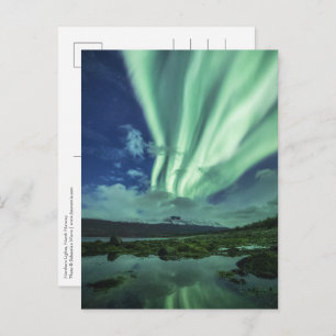 Northern Lights Norway Postcard