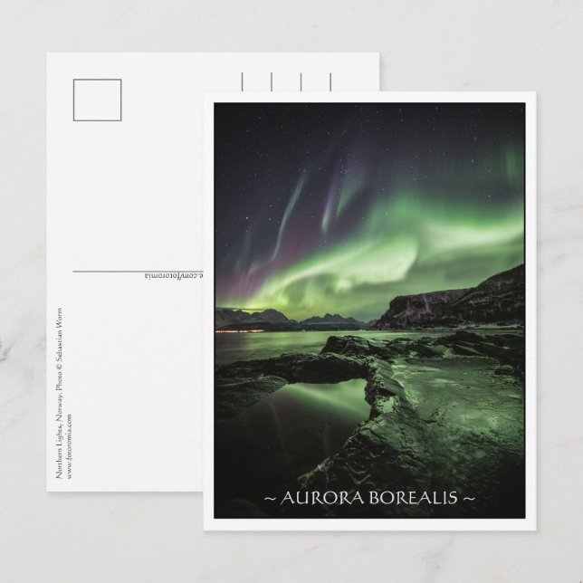 Northern Lights Norway Postcard (Front/Back)