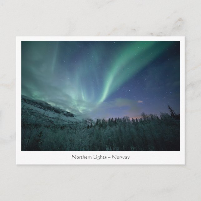 Northern Lights Norway Postcard (Front)