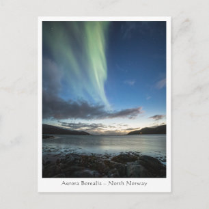 Northern Lights Norway Postcard