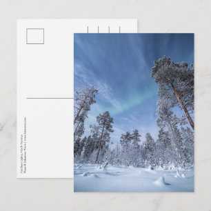 Northern Lights Norway Postcard