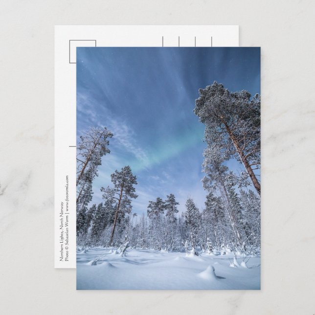 Northern Lights Norway Postcard (Front/Back)