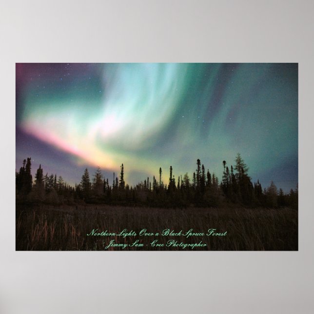 Northern Lights Over a Black Spruce Forest Poster (Front)