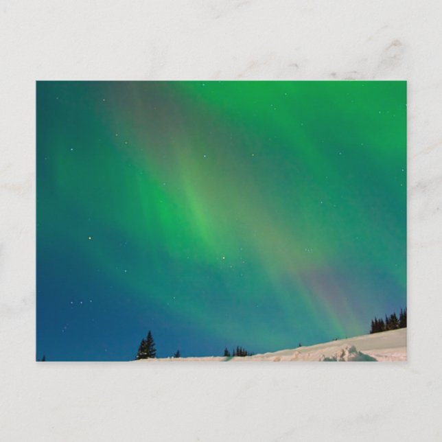 Northern LIghts Over Alaska Postcard (Front)