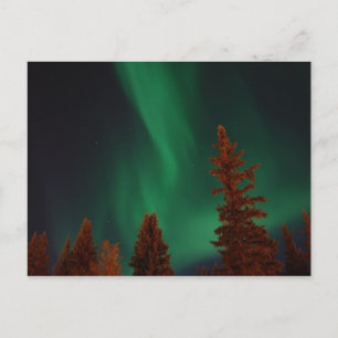 Northern Lights over Ft. Wainwright, AK Postcard