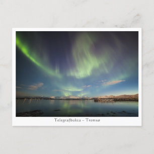 Northern Lights Postcard