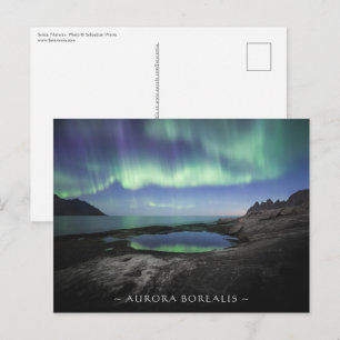 Northern Lights  Postcard