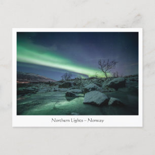 Northern Lights Postcard