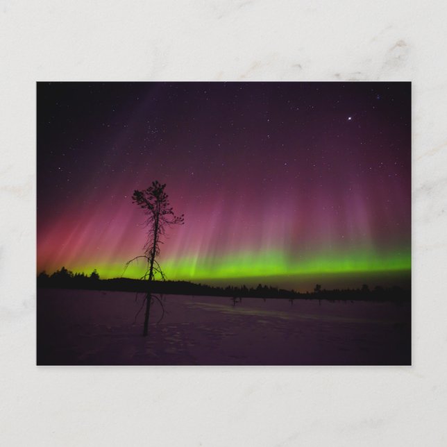 Northern lights postcard (Front)