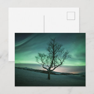Northern Lights Postcard