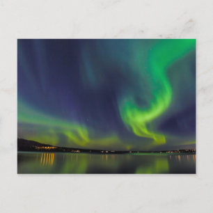 Northern Lights Postcard