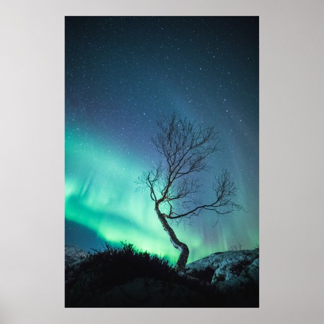 Northern Lights Poster (Front)