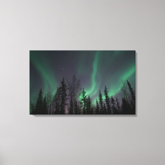 Northern Lights through the Trees Canvas (Front)