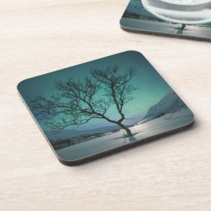 Northern Lights Tree Coaster