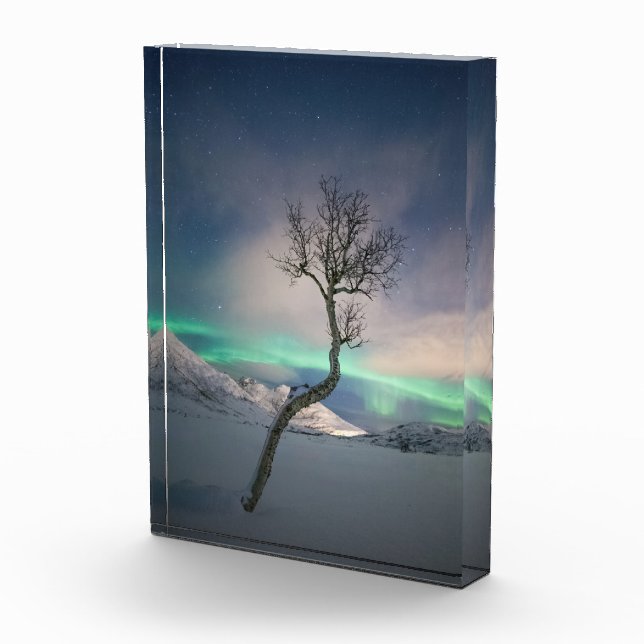 Northern Lights Tree Photo Block (Right)