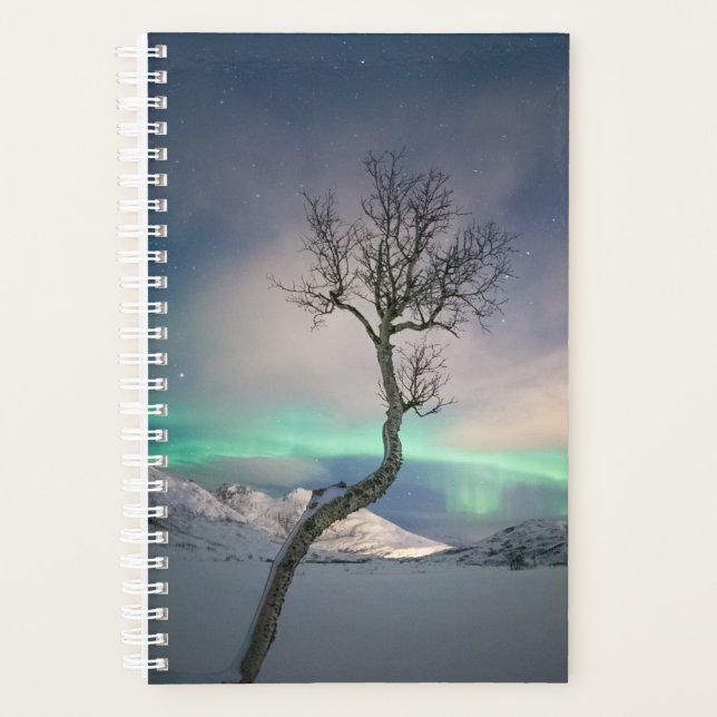 Northern Lights Tree Planner (Front)