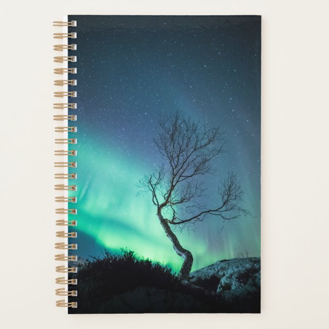 Northern Lights Tree Planner (Front)