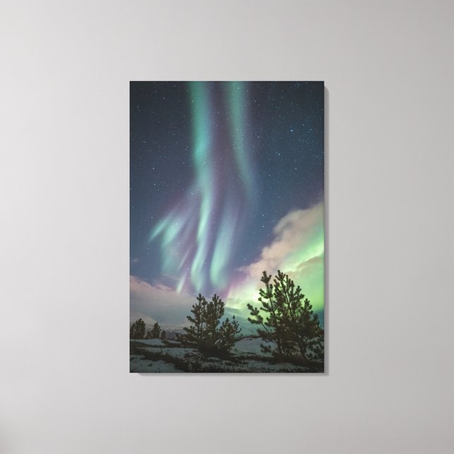 Northern Lights Trees Canvas Print (Front)