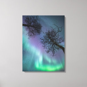Northern Lights Trees Canvas Print