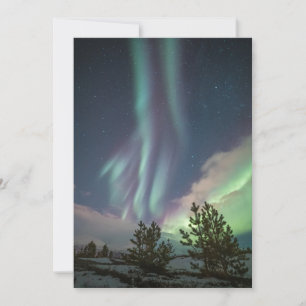 Northern Lights Trees Card