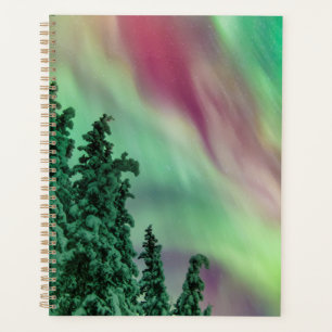 Northern Lights   Winter in Glennallen, Alaska Planner