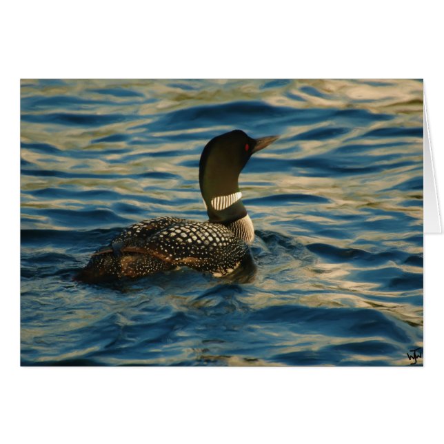 Northern Loon (Front Horizontal)