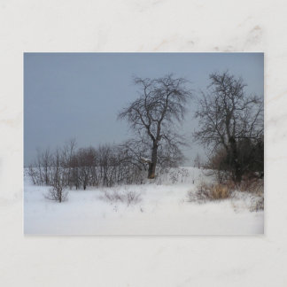 Northern Maine 17 Postcard