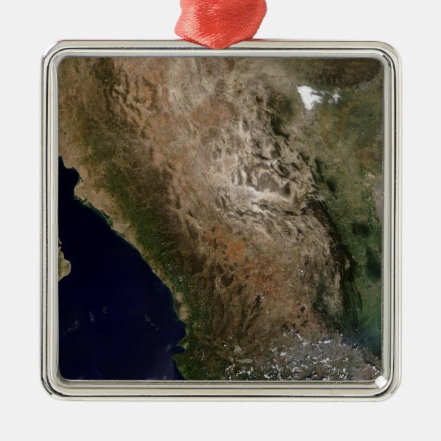 Northern Mexico 2 Metal Tree Decoration (Front)