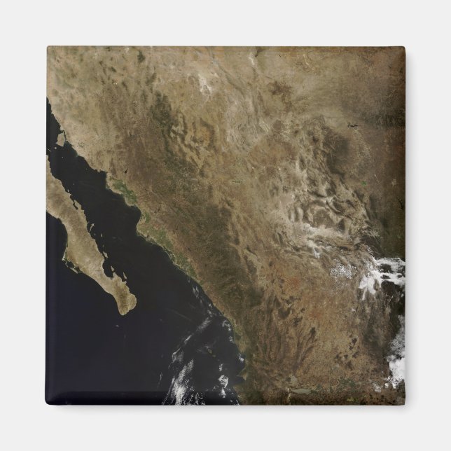 Northern Mexico Magnet (Front)