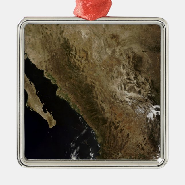 Northern Mexico Metal Tree Decoration (Front)