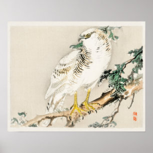 Northern mockingbird by Kōno Bairei (1844-1895) Poster