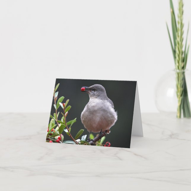 Northern Mockingbird - Joe Sweeney - card (Front)