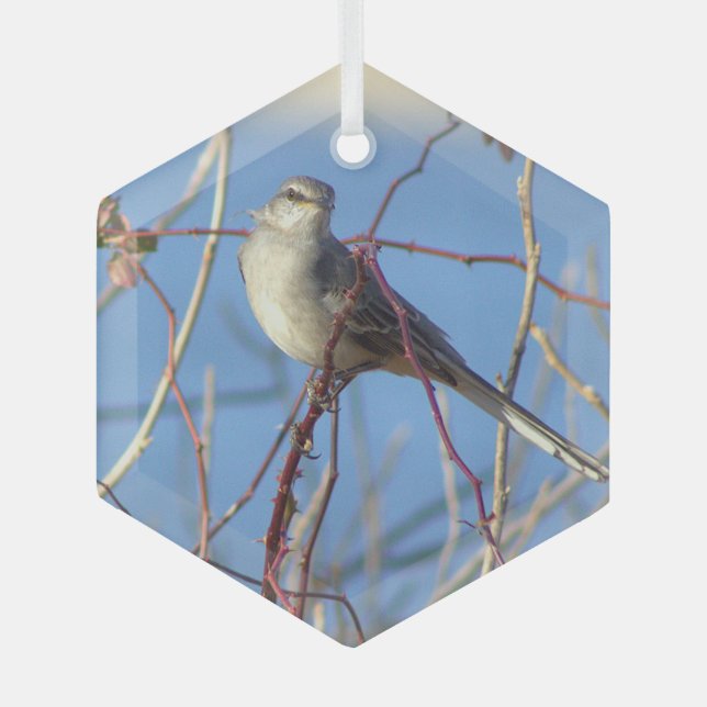 Northern Mockingbird Photo Ornament (Front)