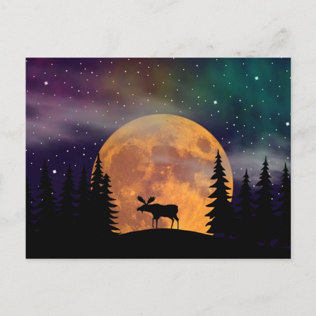 Northern Nights- Northern Lights Postcard (Front)