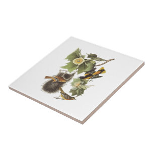 Northern Oriole by Audubon Tile