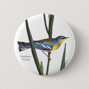 Northern Parula, Audubon, Birder Birdwatcher, Bird 6 Cm Round Badge