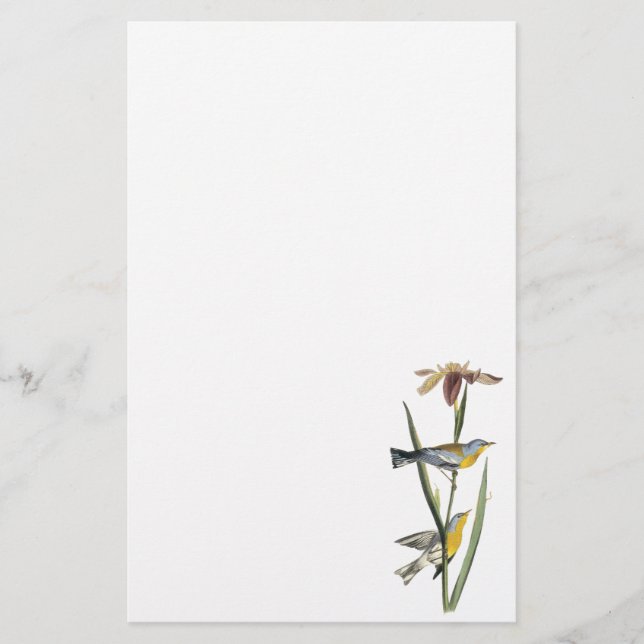 Northern Parula, John Audubon Stationery (Front)