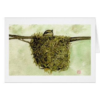 Northern Parula Nest