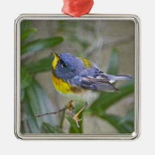 Northern Parula Parula americana) Metal Tree Decoration