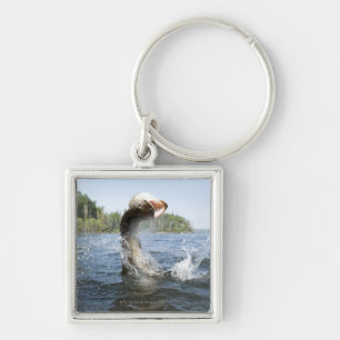 Northern Pike jumping out of water in a lake. Key Ring